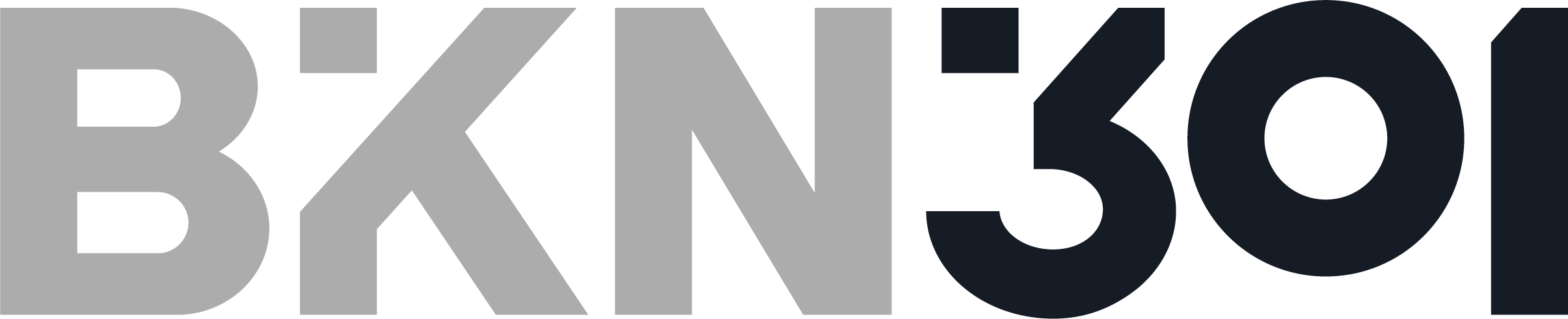 BKN301 logo