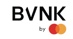 BVNK logo