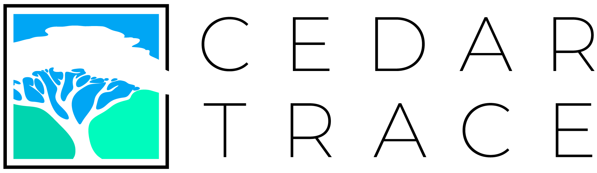 Cedar Trace Underwriting logo