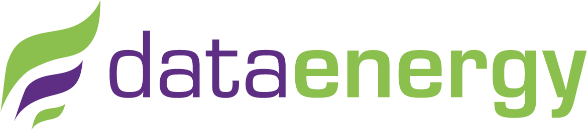 Data Energy logo