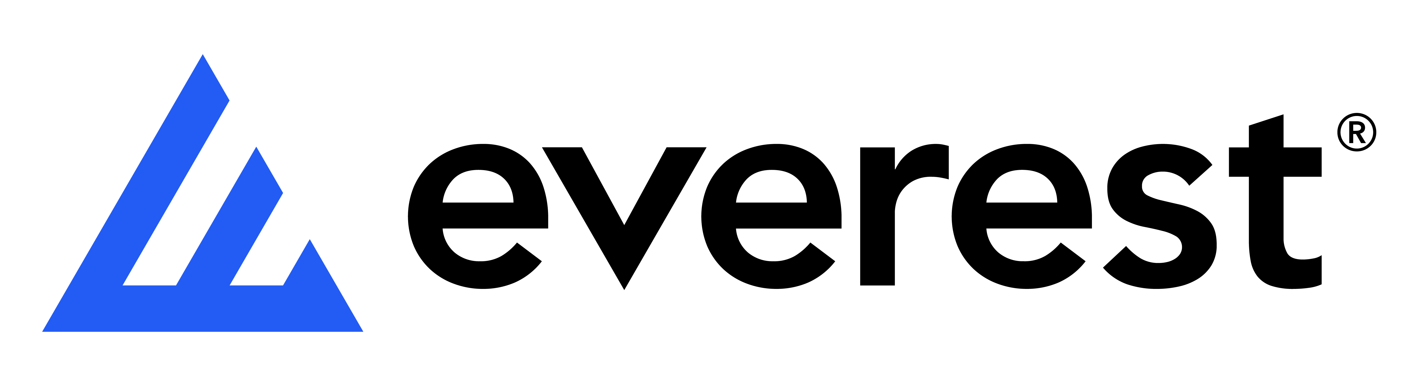 Everest Insurance logo