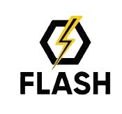 Flash logo