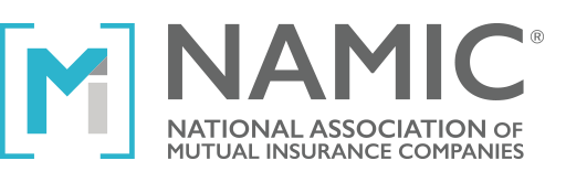 NAMIC logo