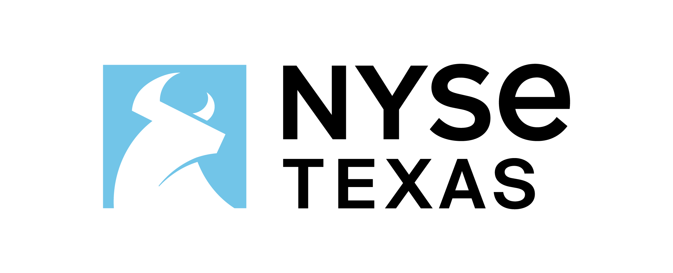 NYSE Texas logo