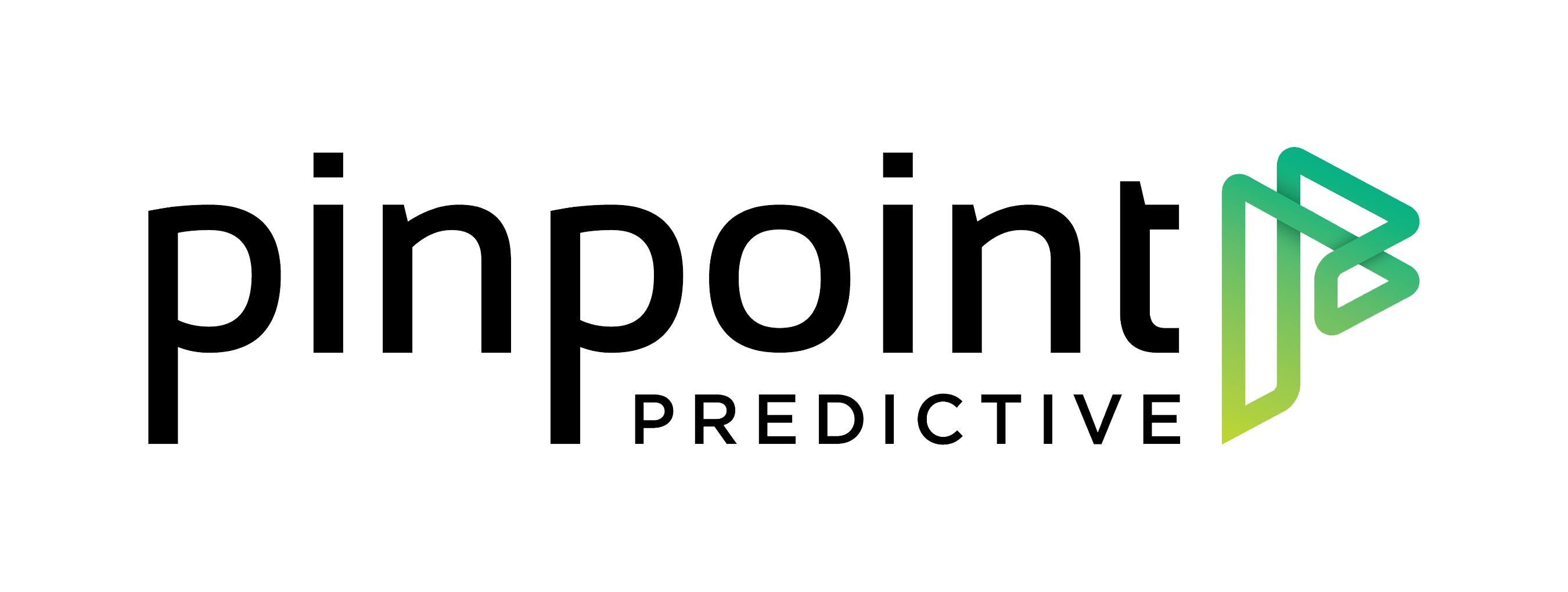 Pinpoint Predictive logo