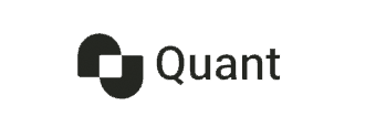 QuantL AI logo
