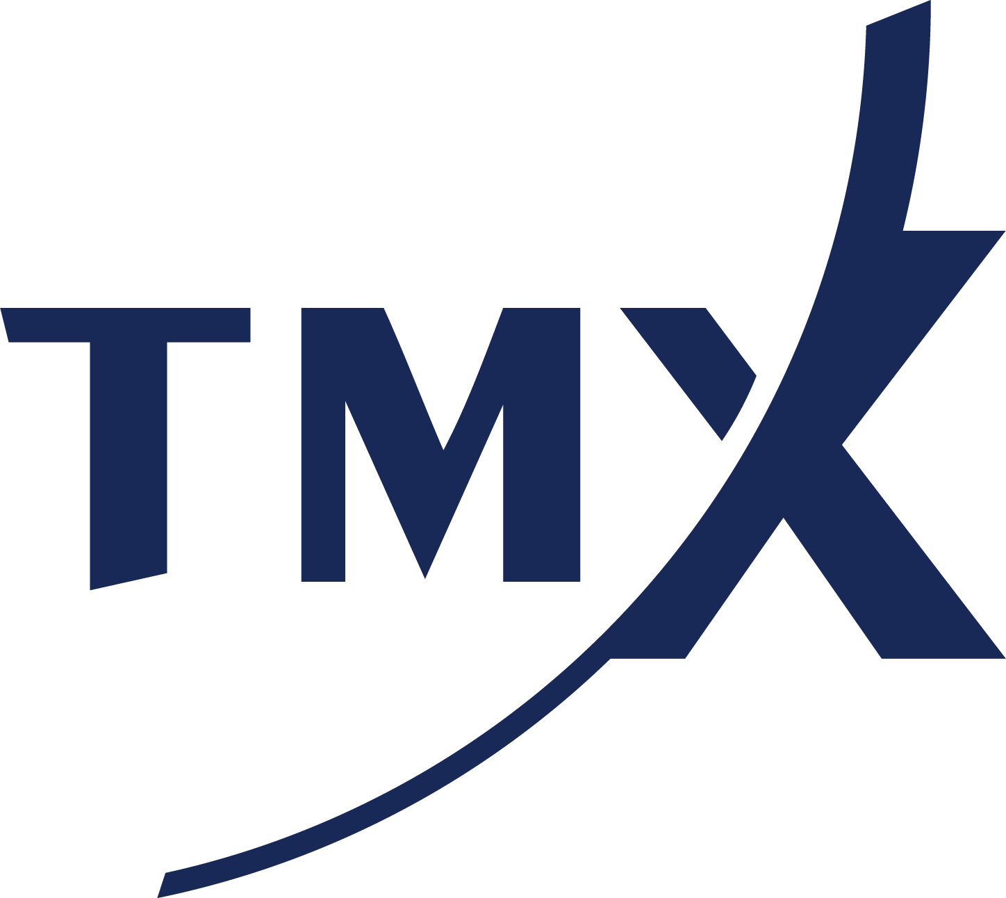 TMX Toronto Stock Exchange logo