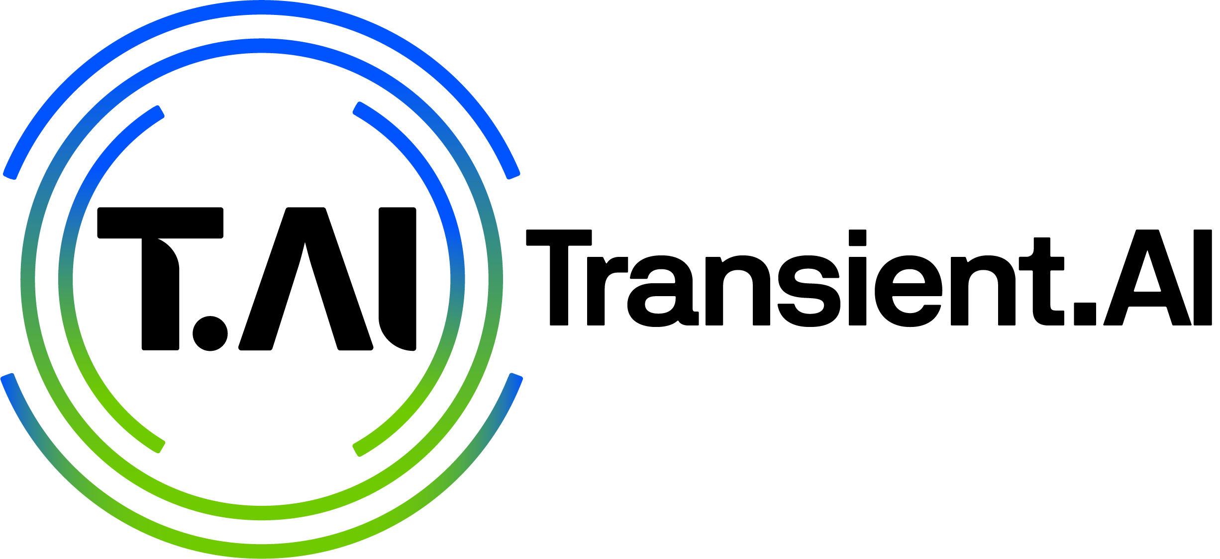 Transient.AI logo