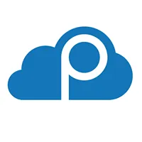 Paysky logo