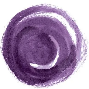 BPCE Payment Services logo
