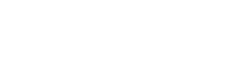 CapitalCIO logo
