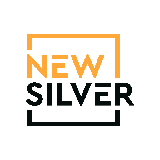 New Silver logo