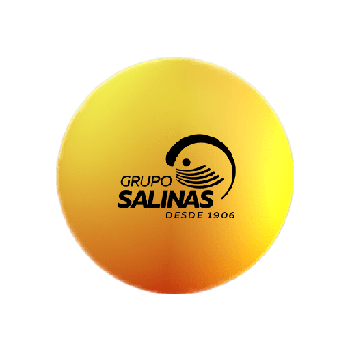 Grupo Salinas logo