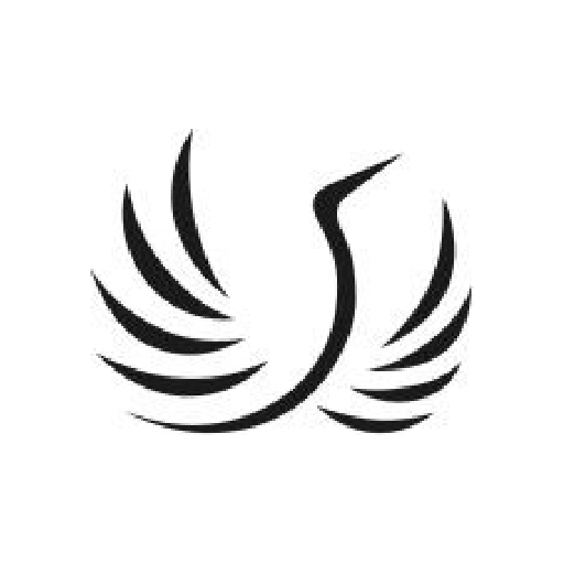 Finance in Motion logo
