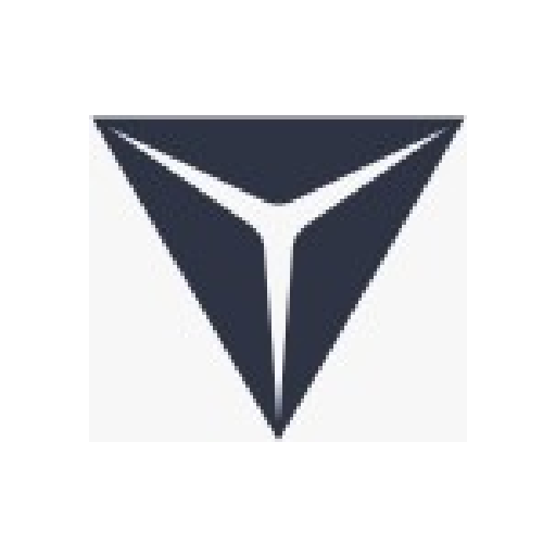 Vitruvian Partners logo