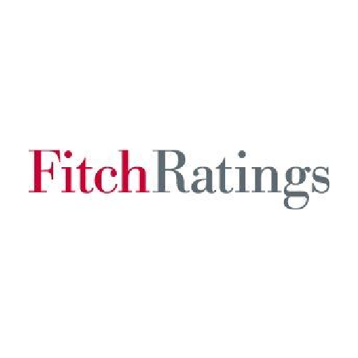 FITCH RATINGS LTD logo