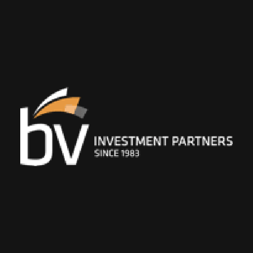 BV Investment Partners logo
