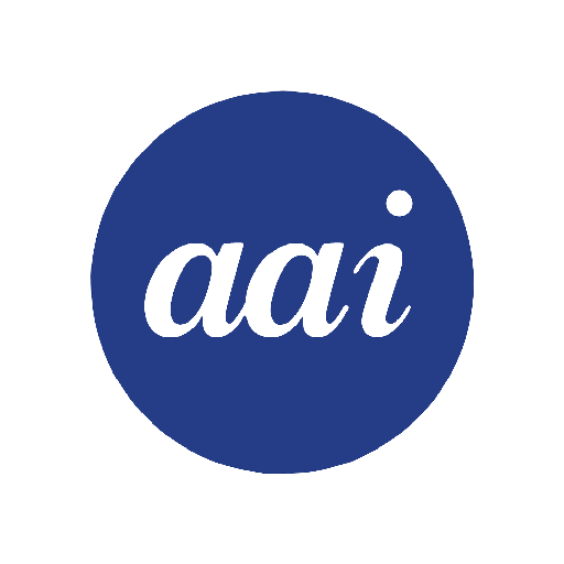Affordable American Insurance logo