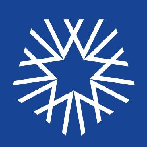 White Star Capital logo