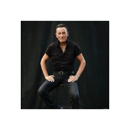 Bruce logo