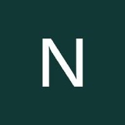 Netcompany logo