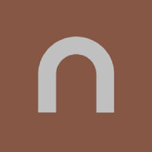 nsave logo
