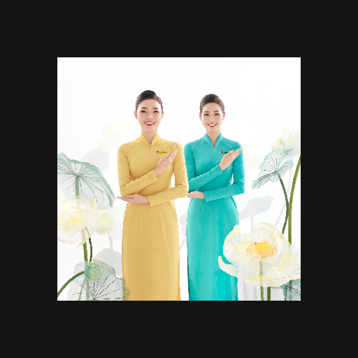 Vietnam Airlines logo