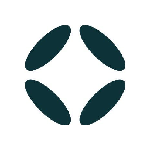 Braid logo