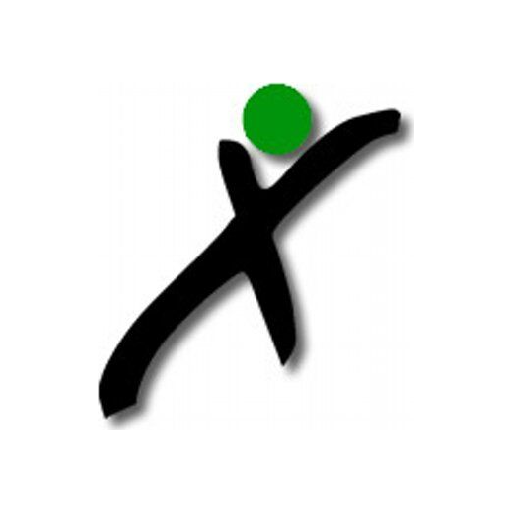 Connexus Credit Union logo