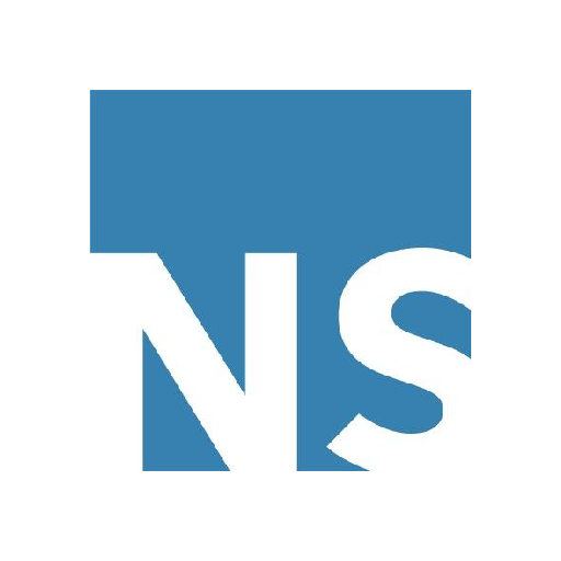 NS PARTNERS logo