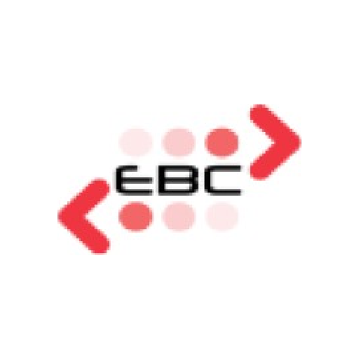 Egyptian Banks Company logo