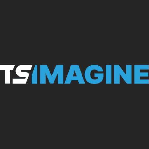 TS Imagine logo