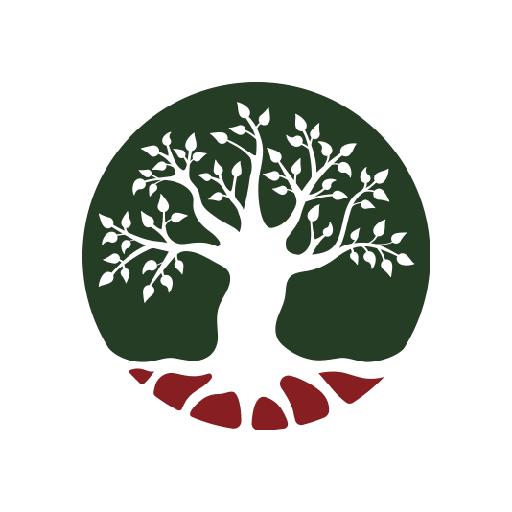 Omba Advisory & Investments Ltd logo