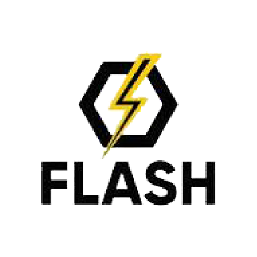 Flash logo