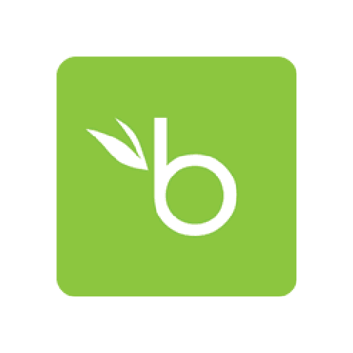 BambooHR logo