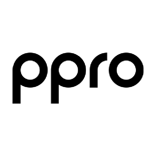 PPRO Financial logo