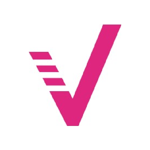 ValidMind logo