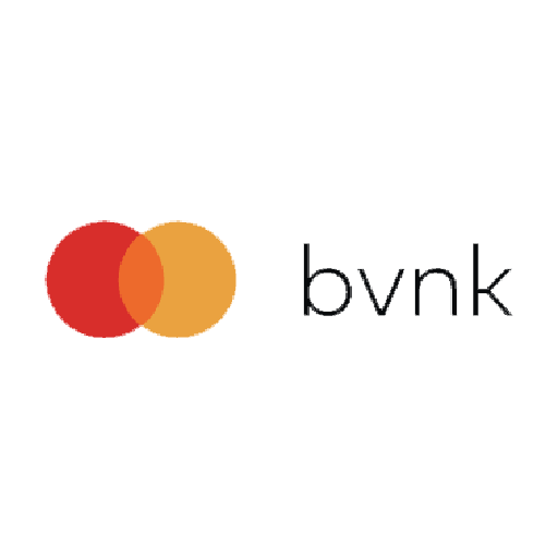 BVNK logo