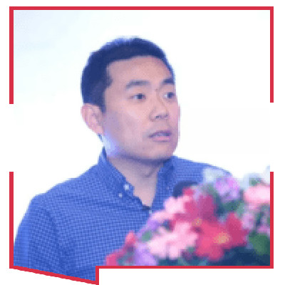 Dr Li Feifei