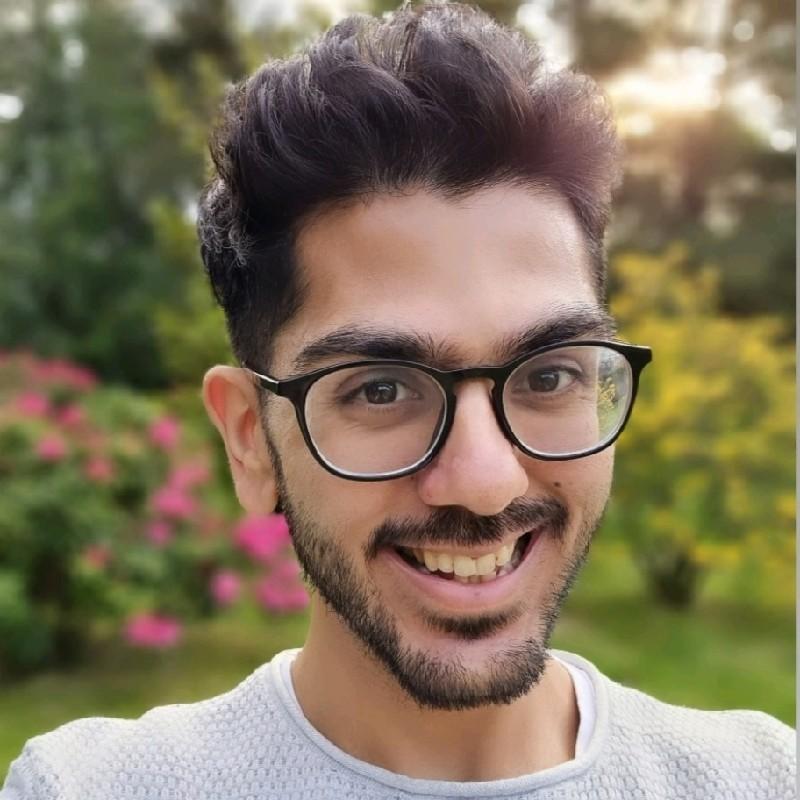 Hamza Behzad