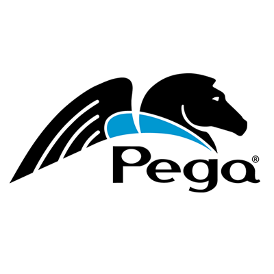 Pegasystems, Steve Bill