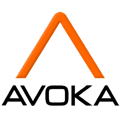 Derek Corcoran, Avoka